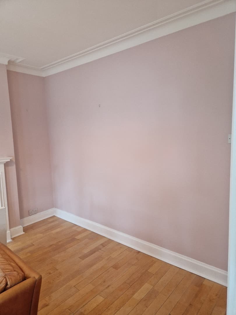 The Benefits of Professional Plastering Services